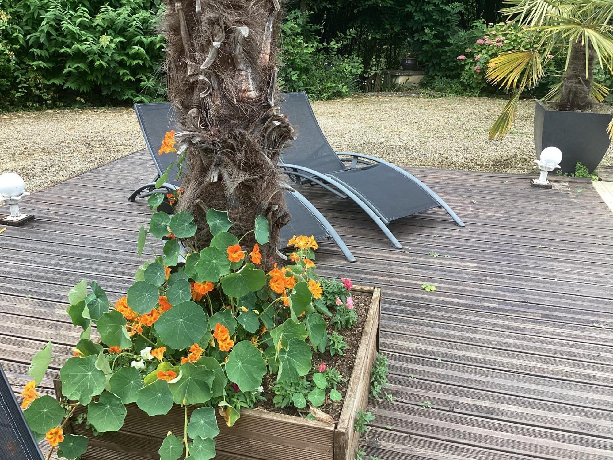 Le Lavoir Bed & Breakfast Châteauroux Dış mekan fotoğraf