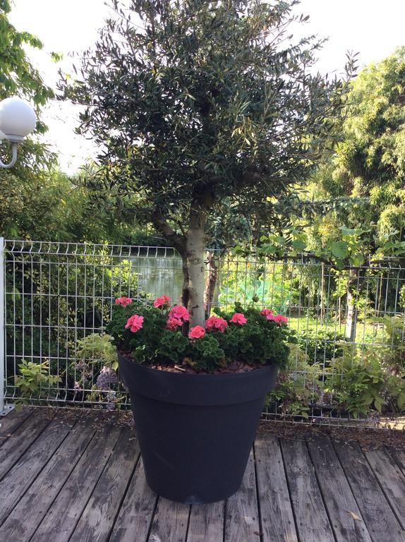 Le Lavoir Bed & Breakfast Châteauroux Dış mekan fotoğraf